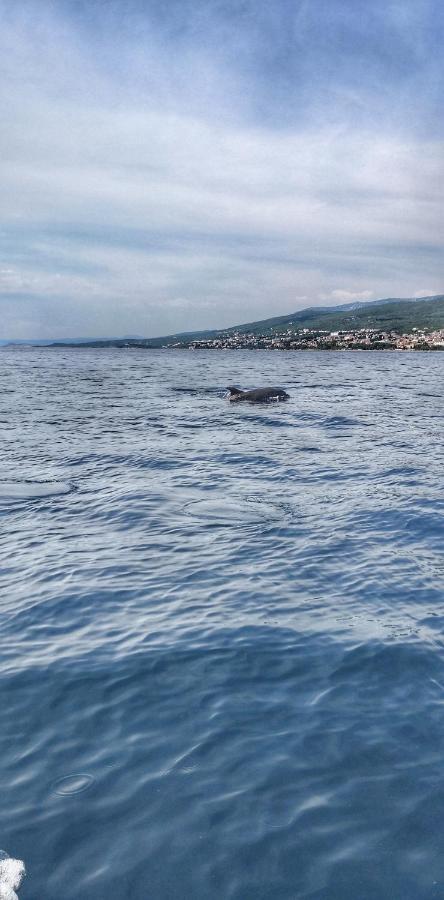 Apartments Matejcic Crikvenica Zewnętrze zdjęcie