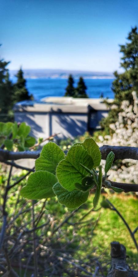 Apartments Matejcic Crikvenica Zewnętrze zdjęcie